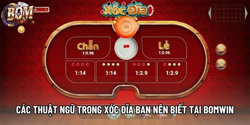 Các thuật ngữ trong xóc đĩa bạn nên biết tại Bomwin