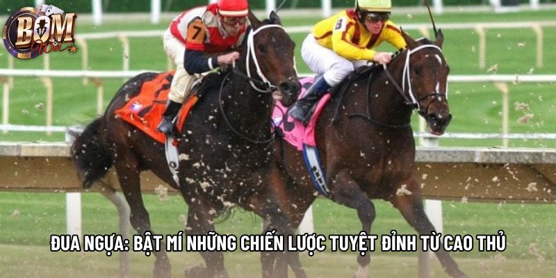 Đua Ngựa: Bật Mí Những Chiến Lược Tuyệt Đỉnh Từ Cao Thủ