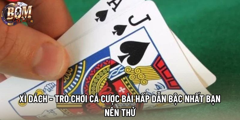 Xì Dách - Trò Chơi Cá Cược Bài Hấp Dẫn Bậc Nhất Bạn Nên Thử